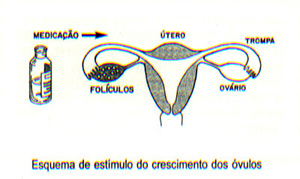 Estímulo do crescimento dos óvulos 