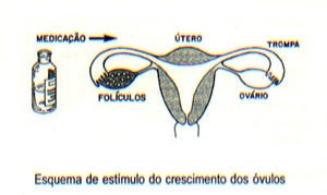 Estímulo do crescimento dos óvulos 